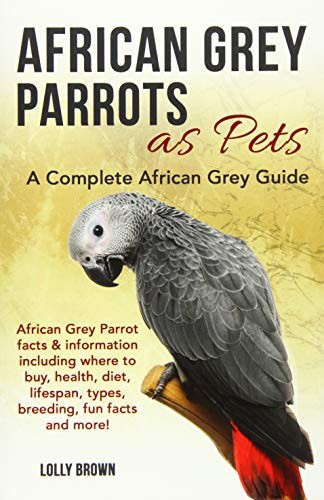 African grey parrots pets a - grey,