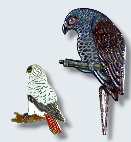African grey parrot brooch - african,