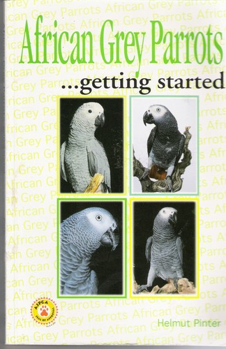 African grey parrots - african,