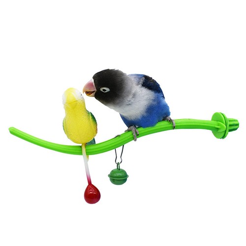 Pet bird toy playing parrot - bird,
