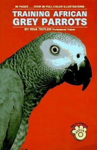 Training african grey - training,