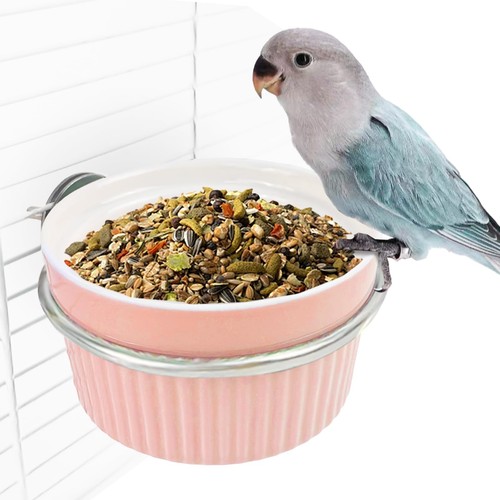Wqy groceryshop bird - bird, cage