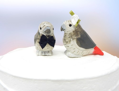 Gray african parrot - gray, cake