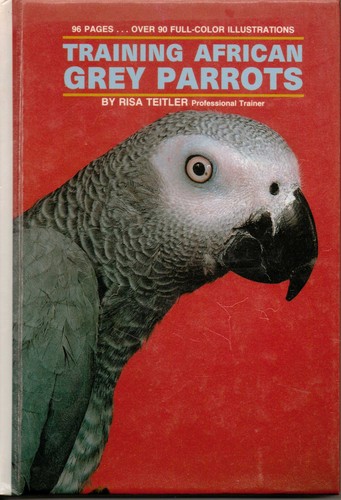 Training african grey parrots - training,