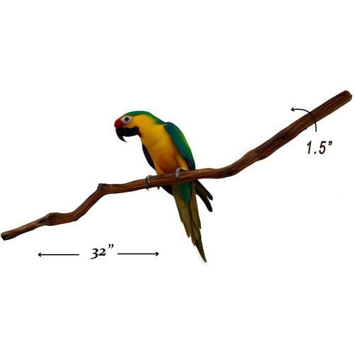 Natural manzanita perch - perch, 32"