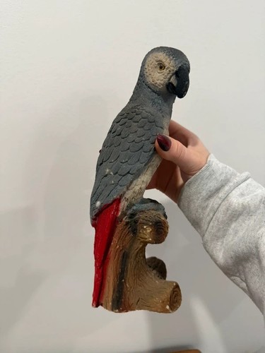 Vintage african grey parrot - grey,