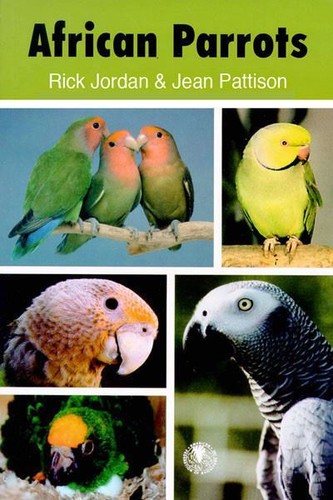 African parrots - african,