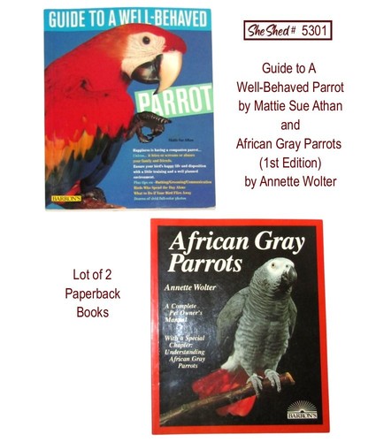 Parrot care guide - parrot,