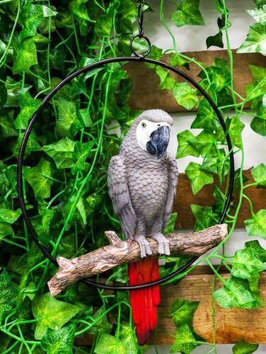 Hanging congo african - hanging,